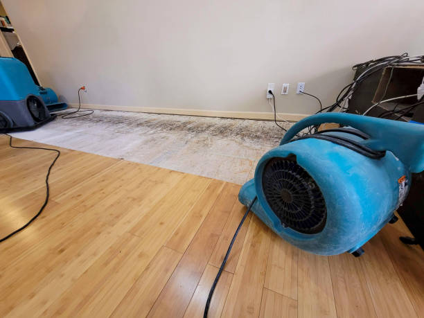 Professional Structural Drying technician working in North Haverhill, NH